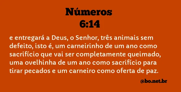 Números 6:14 NTLH