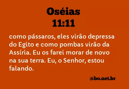 Oséias 11:11 NTLH