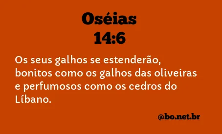 Oséias 14:6 NTLH