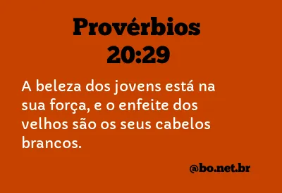 Provérbios 20:29 NTLH