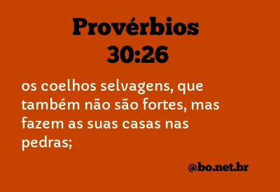 Provérbios 30:26 NTLH