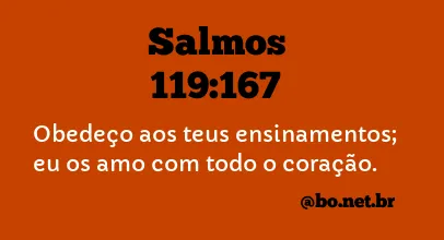 Salmos 119:167 NTLH