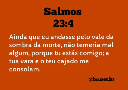 salmo23 #salmos #biblia #tiktokcatolico