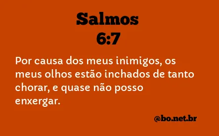 Salmos 6:7 NTLH