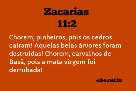 Zacarias 11:2 NTLH