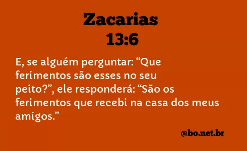Zacarias 13:6 NTLH