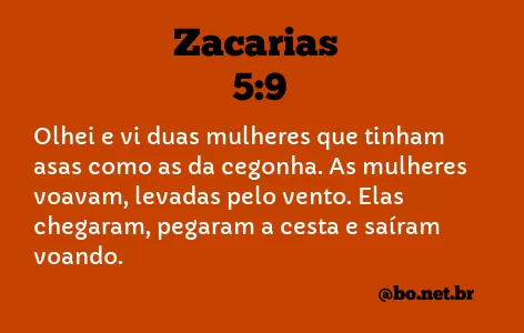 Zacarias 5:9 NTLH