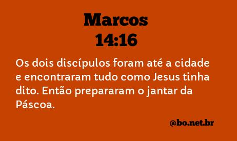 marcos 16 15 16 ntlh